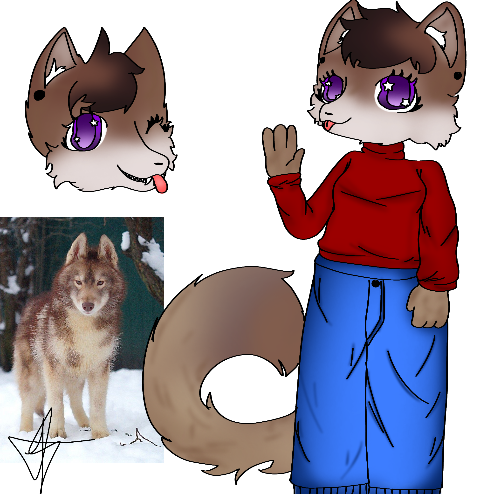 Wolf - ibisPaint