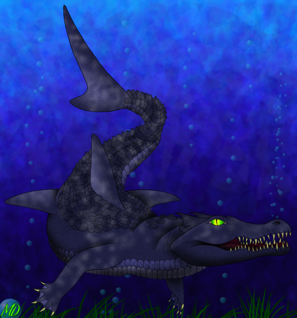 Crocodile + shark