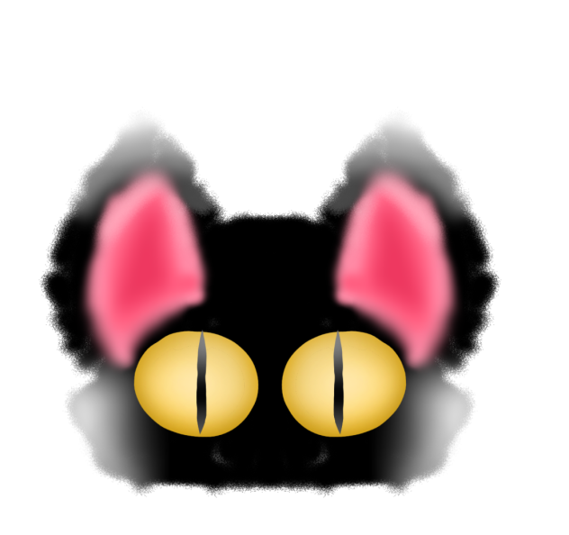cat😻