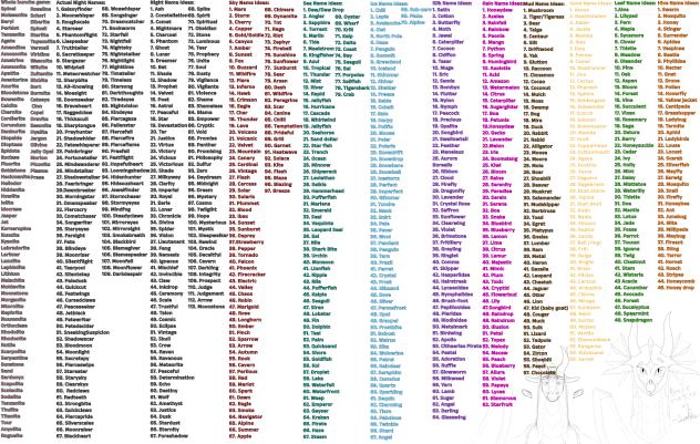 Wof Names (again
