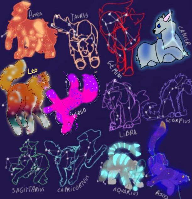 Zodiac collab