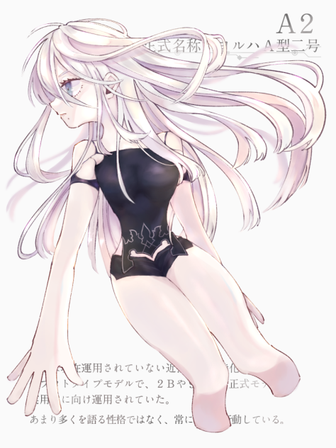 A2【NieR Automata】