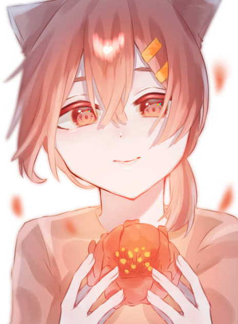 山茶花