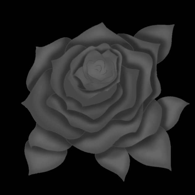 black rose - ibisPaint