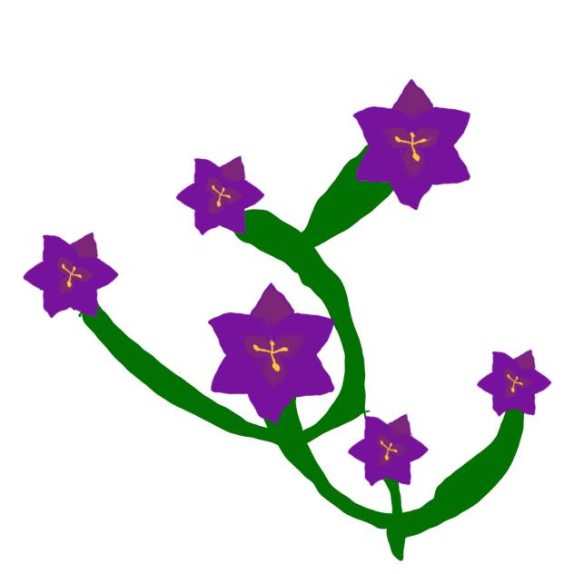 nightshade