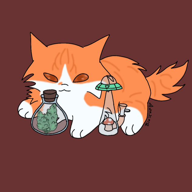 Stoner Cat