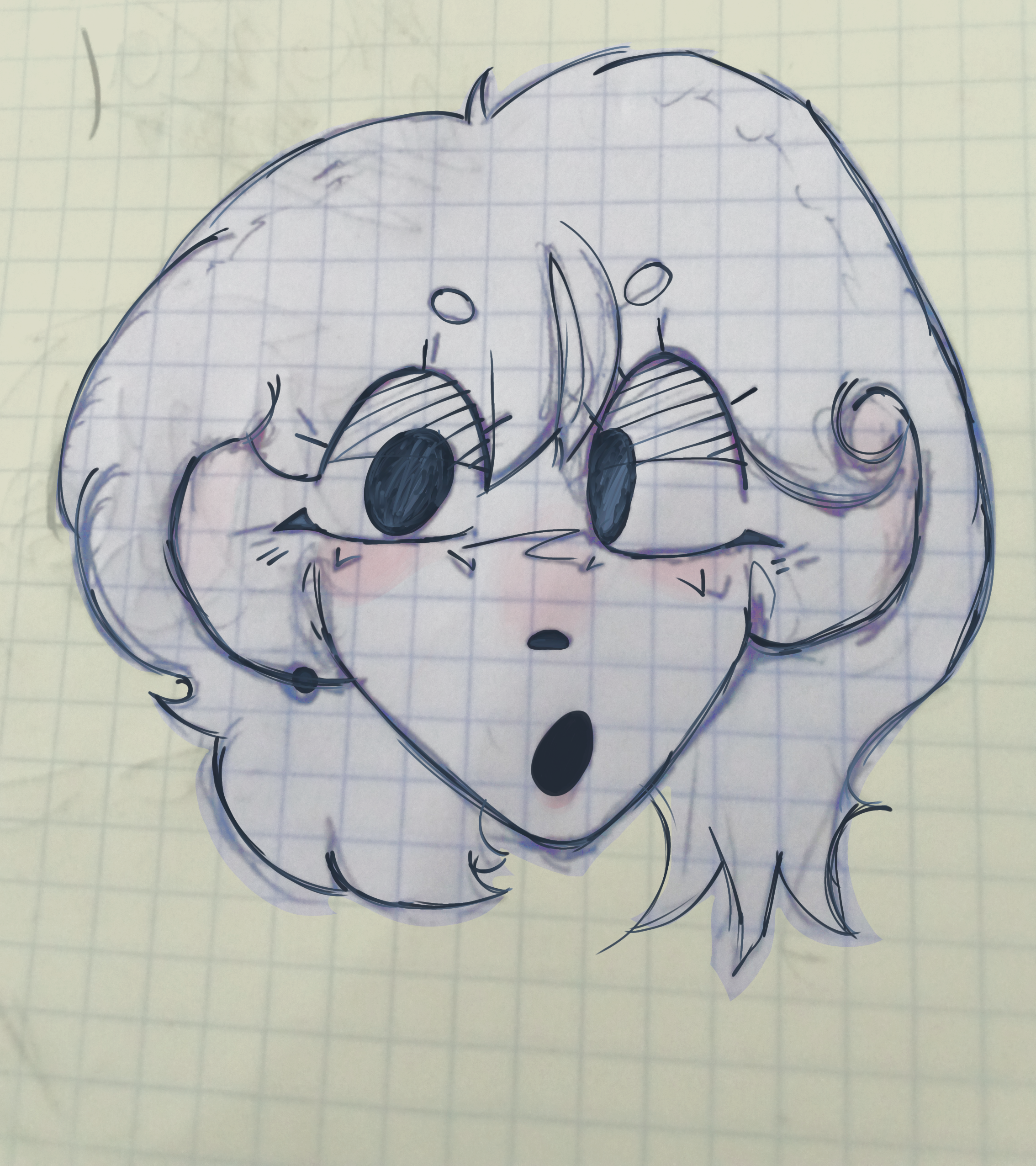 silly - ibisPaint