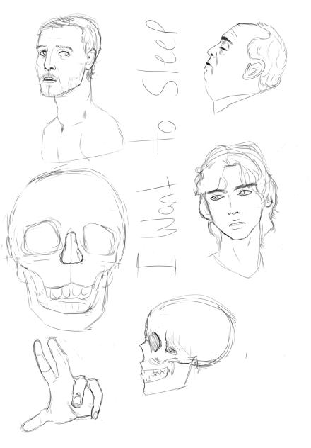 another study - ibisPaint