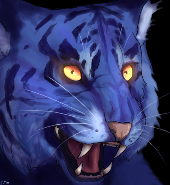 ☄️🐯