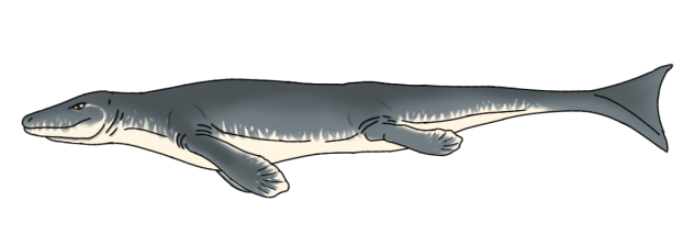 Mosasaurus hoffmannii