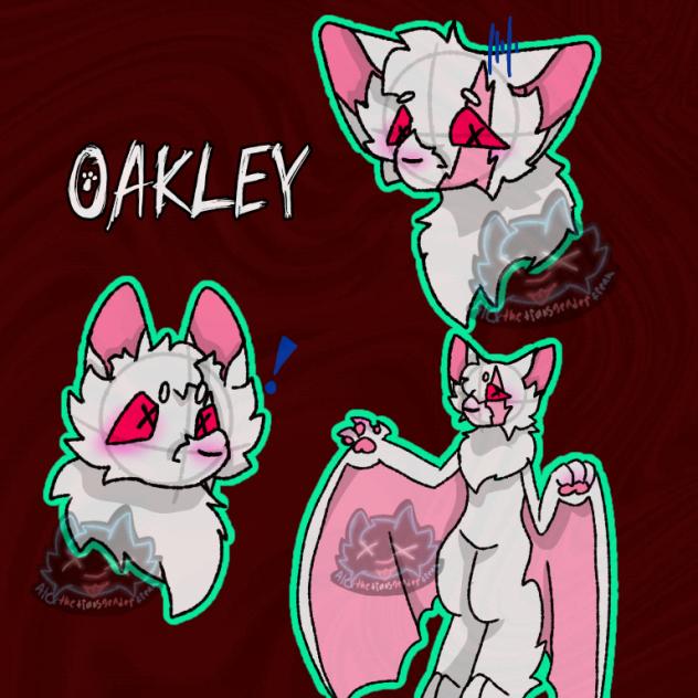 Oakley the Albino Fruit Bat