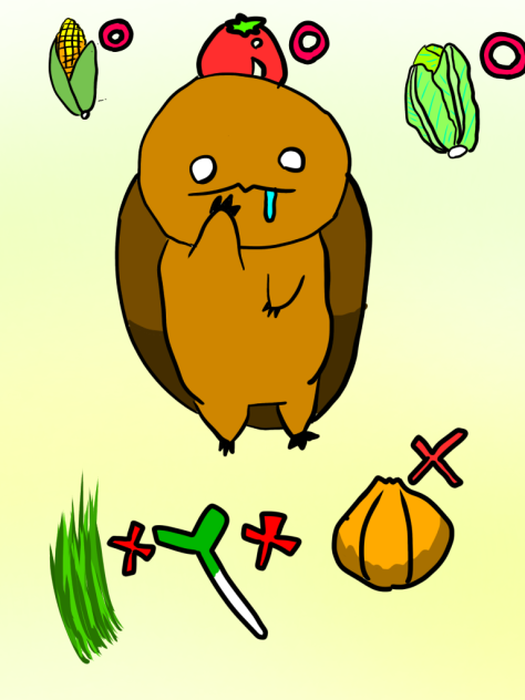 野菜にカメをそえて