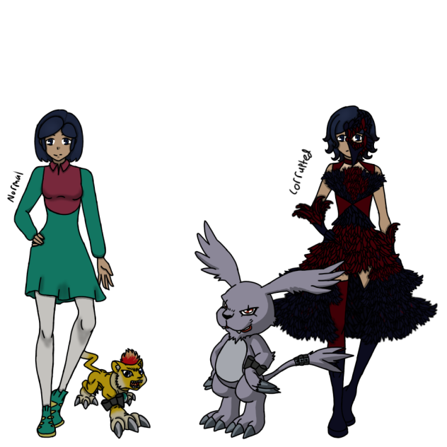 Digimon frontier partner au