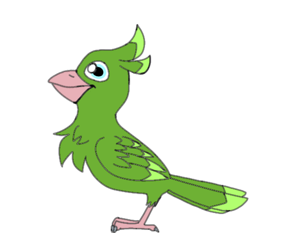 Bird