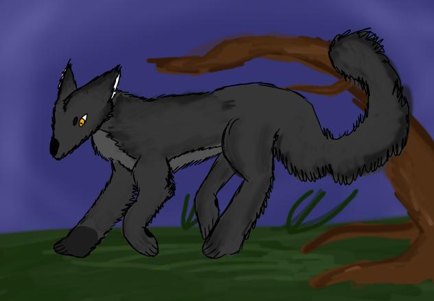 Wolf