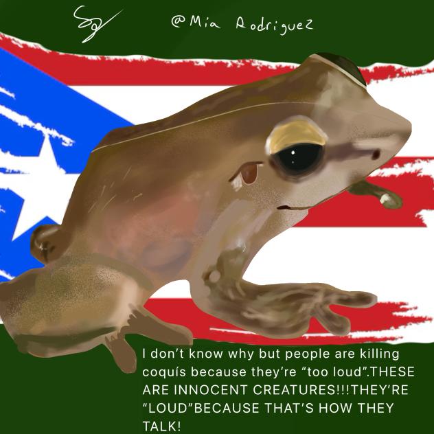 IM MAD BRO