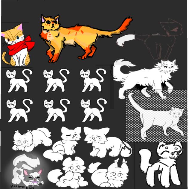 Kitty collab!!!