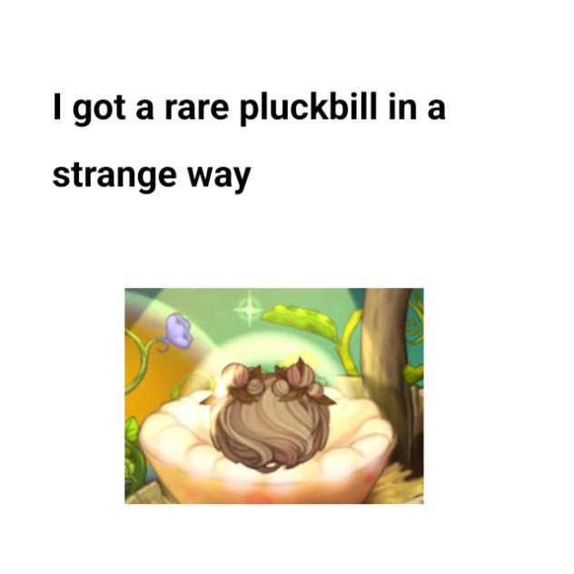 I got a rare pluckbill in a strange way