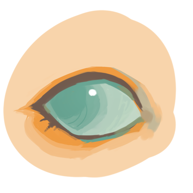 eyeball looking thingy