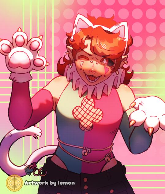 Rowan cat