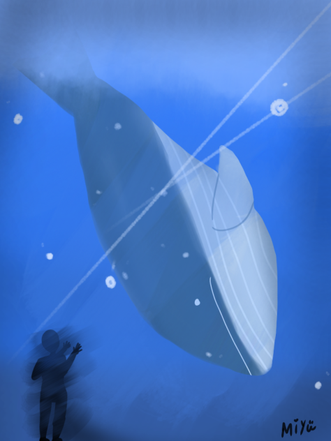 クジラ