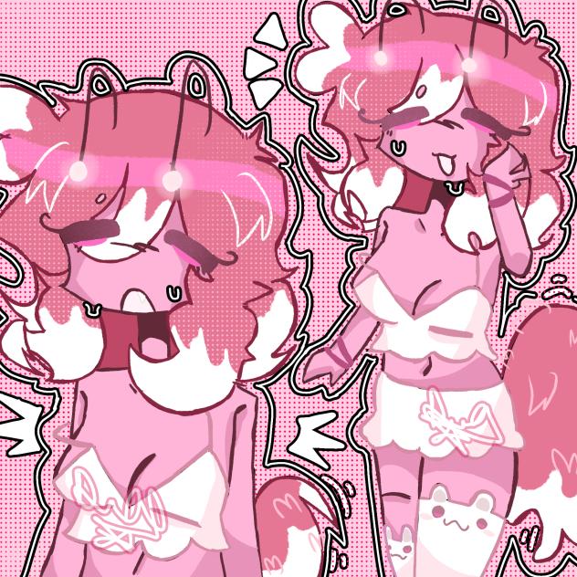 I love pink and white🤍🩷🤍🩷