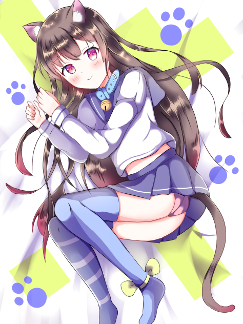 ごろネコ