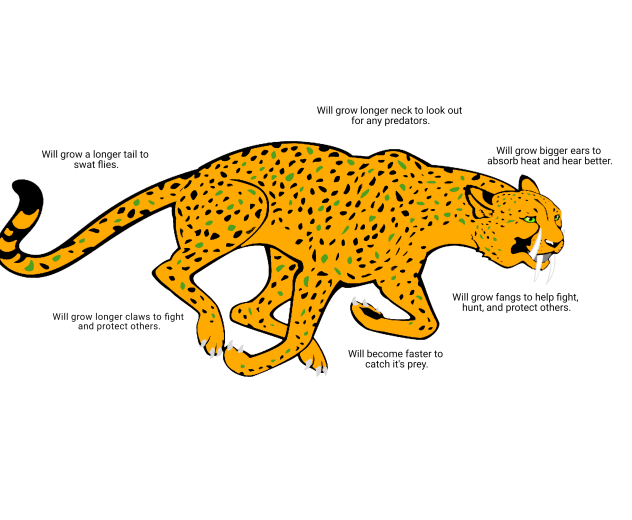 Future Cheetah