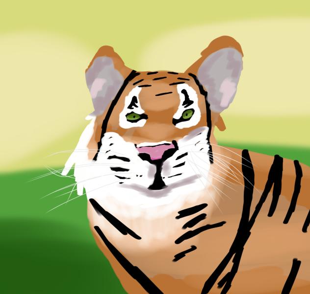 Tiger2 🐯🐅