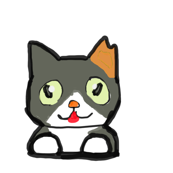 猫　みーちゃん