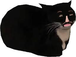 😼