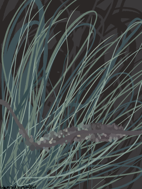 Frontside of my Art folder