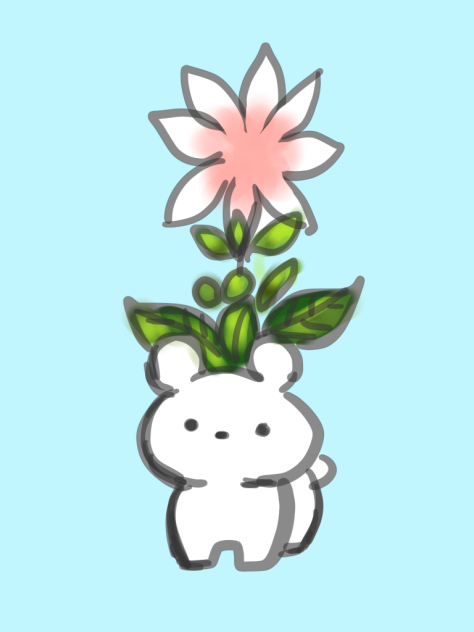 なんか咲いた