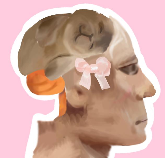 Seal brain