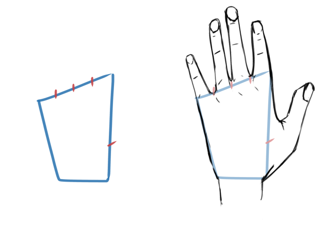 Basic Shape Of A Hand🤚 - ibisPaint
