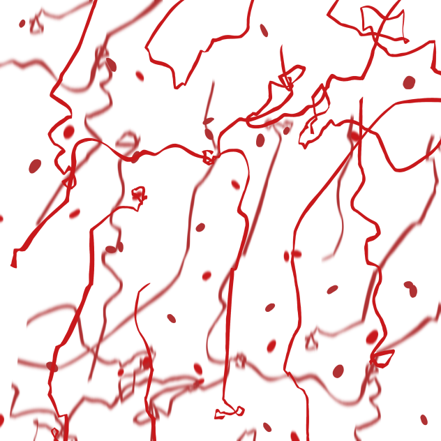 concert confetti 2