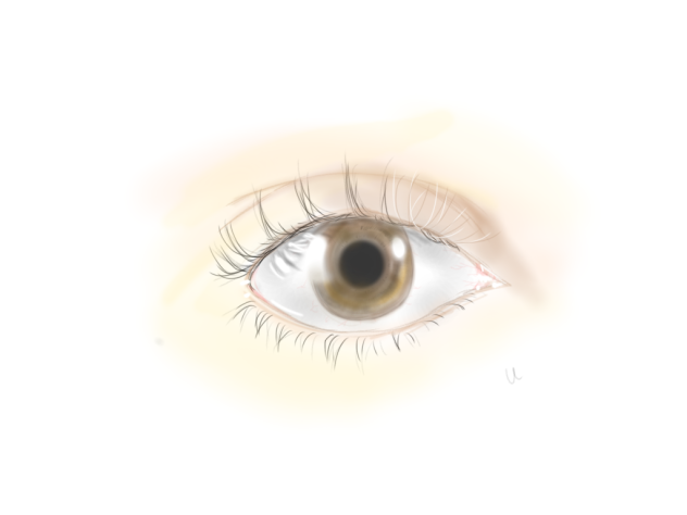 瞳を描いてみた drawing