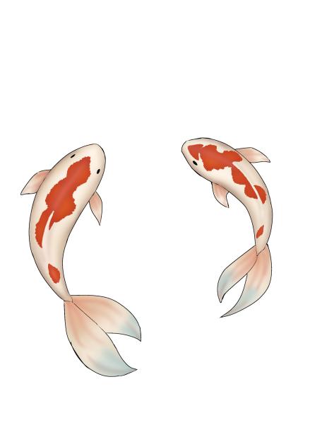 Fish - ibisPaint