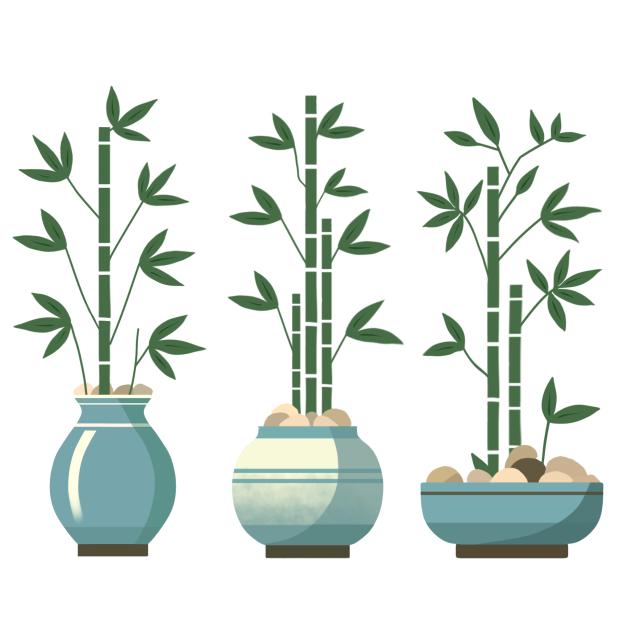 Bamboo plant pots 1
