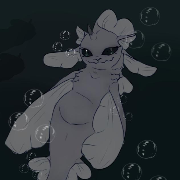 Sea seal!