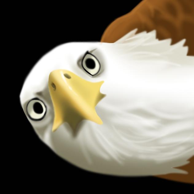 MURICA 🦅 🇺🇸 💪