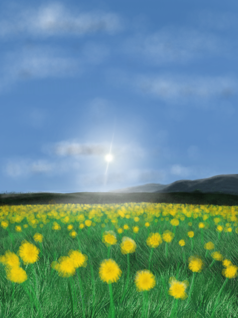 campo de flores.
