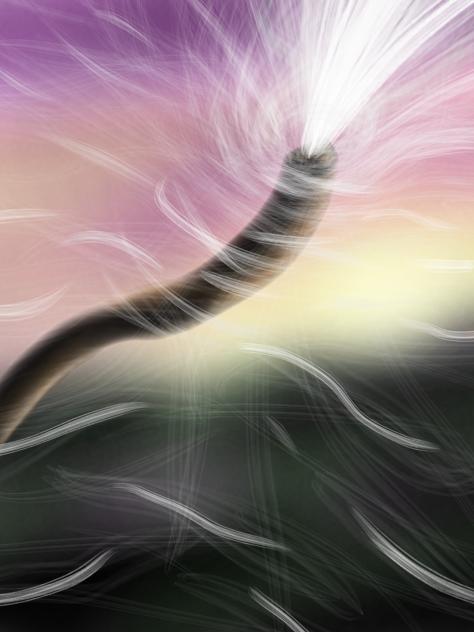 Shofar