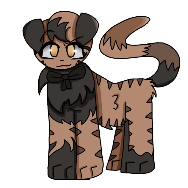 Scottish fold