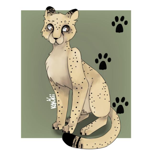 🐆 Cheetah 🏃‍♀️