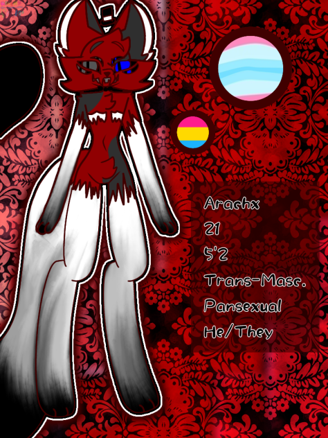 Arachx or Alanx