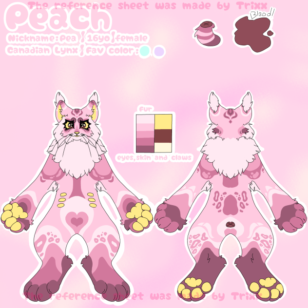 Peachy meow 🥰🥰