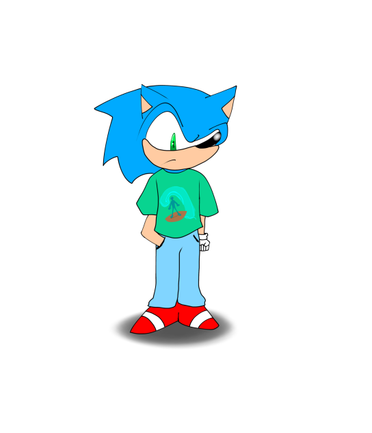 Sonic K