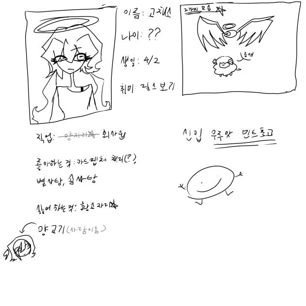 고채소 자기소개서2