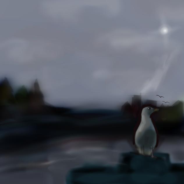 gull